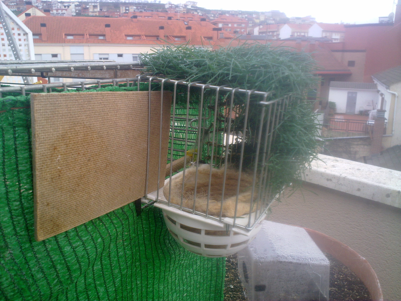 21022013689.jpg