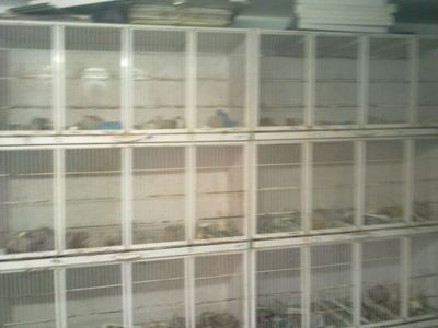 IMG-20130219-WA0002.jpg
