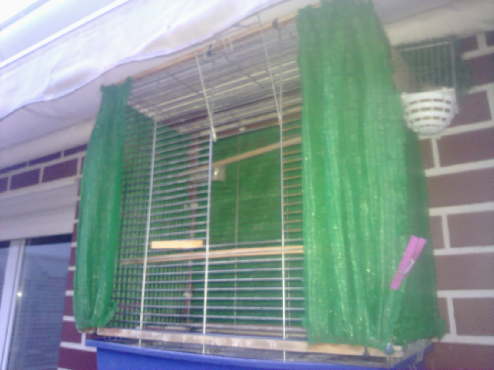 Detalle del nido que comenté en un post