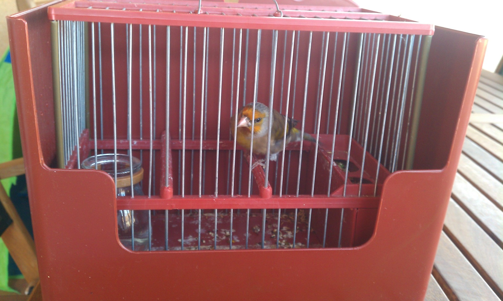 IMAG0366.jpg