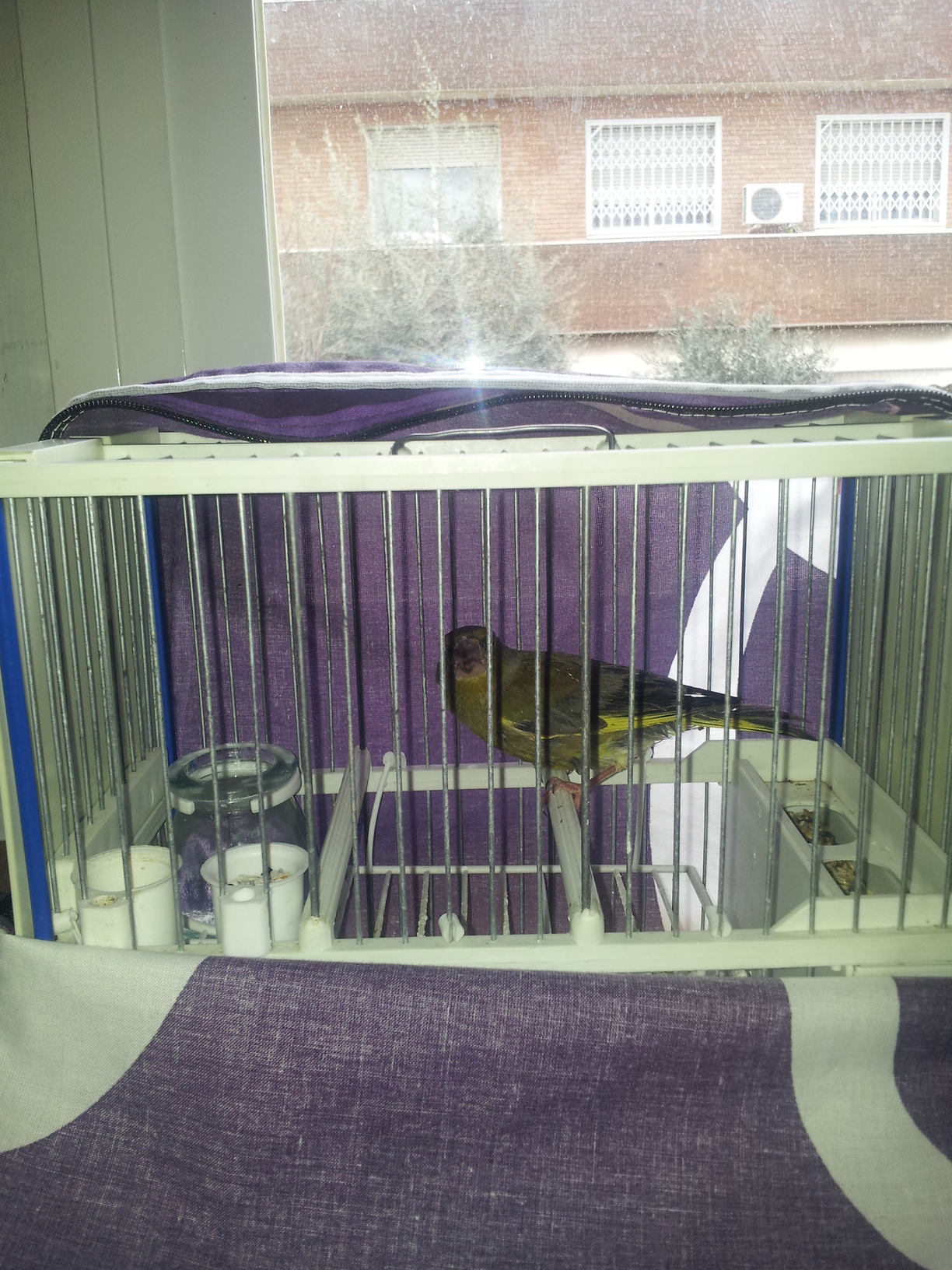 20130301_133159.jpg