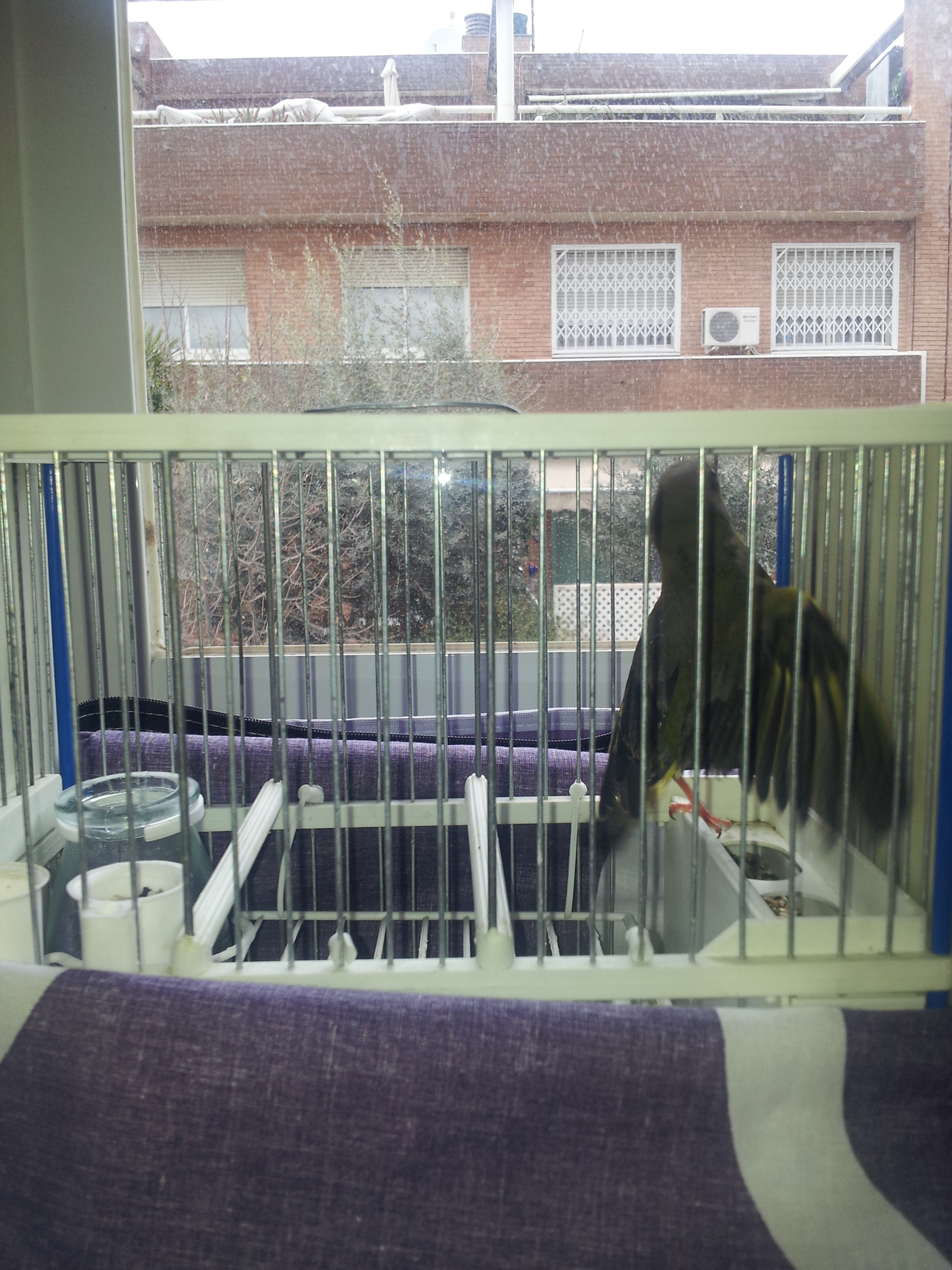 20130301_133139.jpg