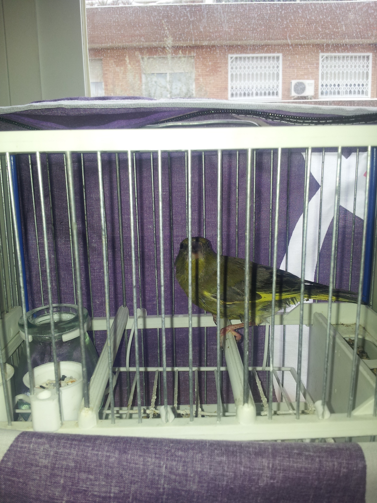 20130301_133204.jpg