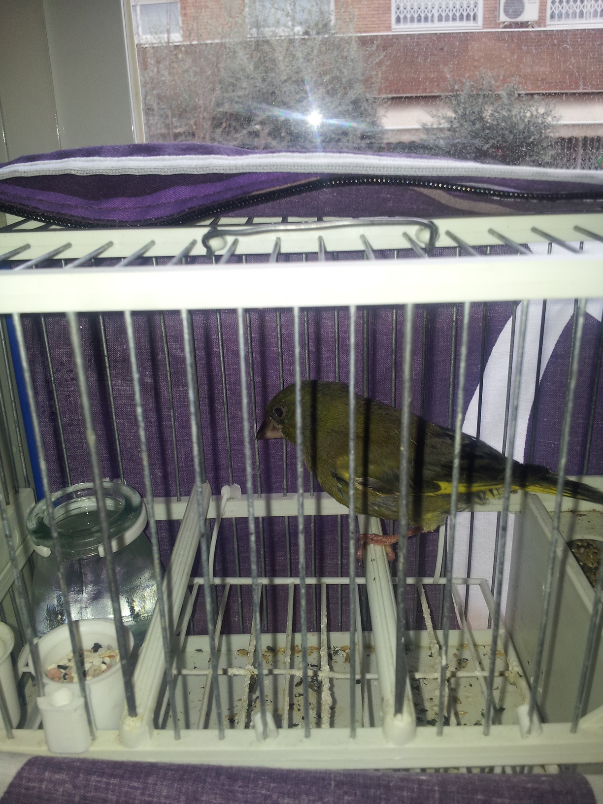 20130301_133229.jpg