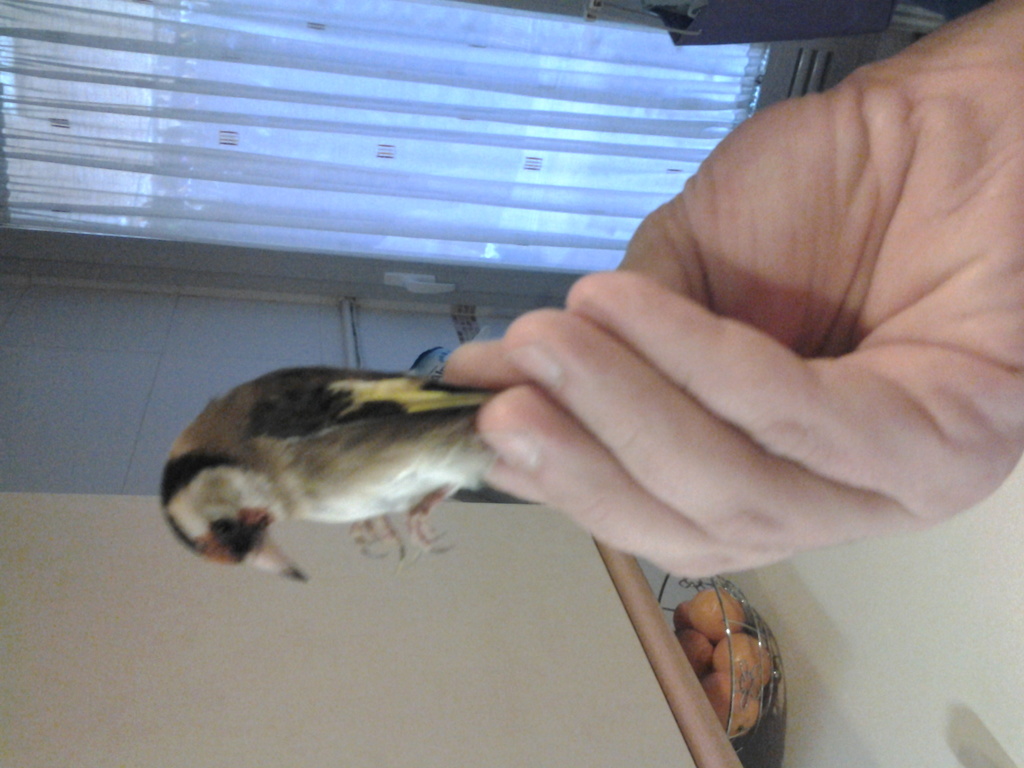 20130303_093920.jpg