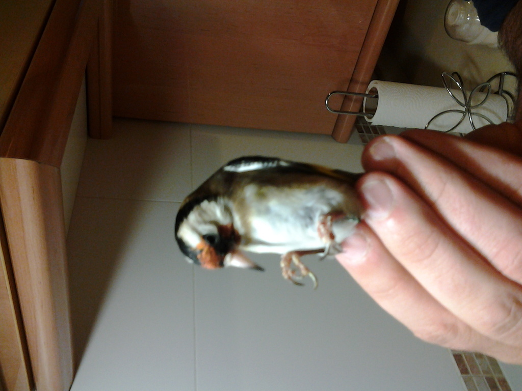 20130303_093948.jpg