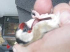 Imagen 016.jpg