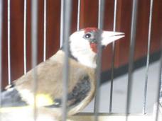 Imagen 015.jpg