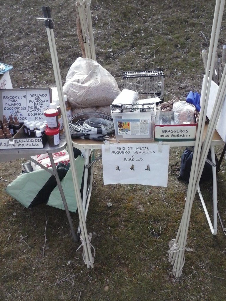 CAM00370.jpg