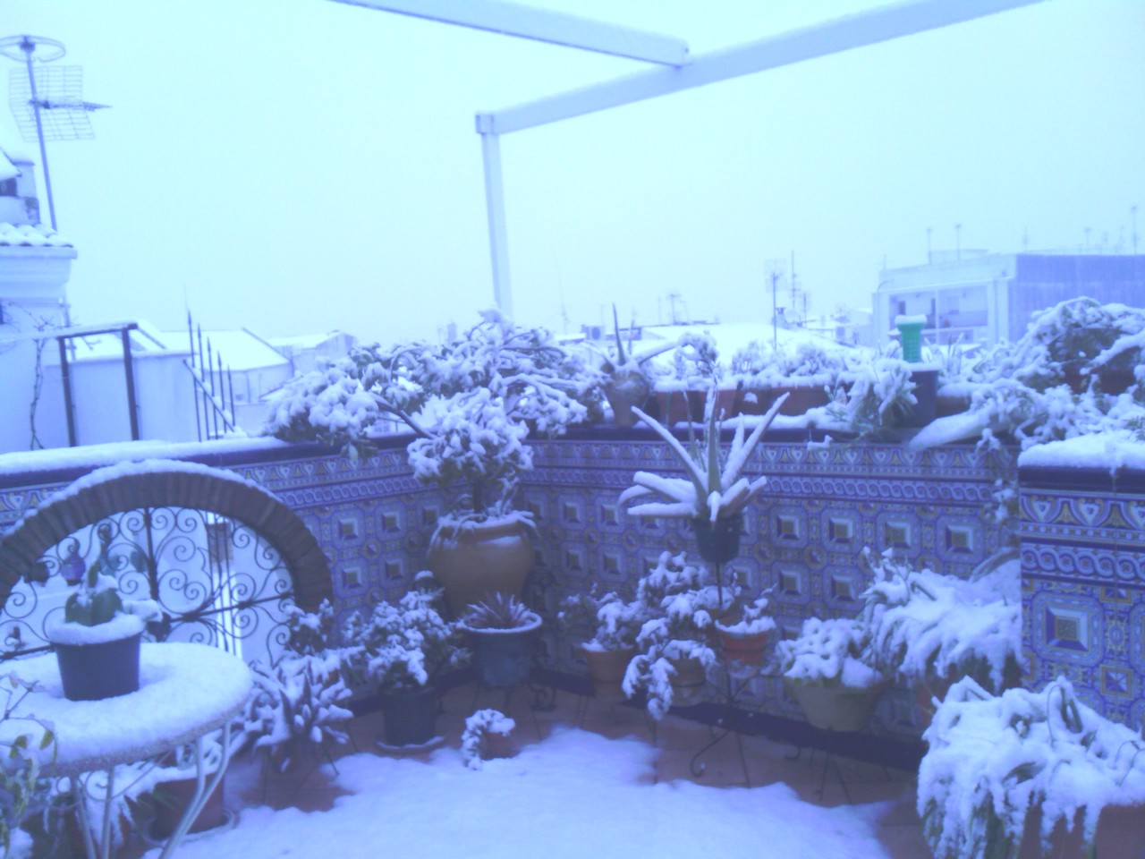 IMG_20130228_083927.jpg