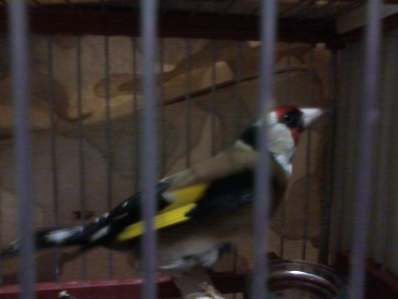 2013-03-03 19.57.56.jpg