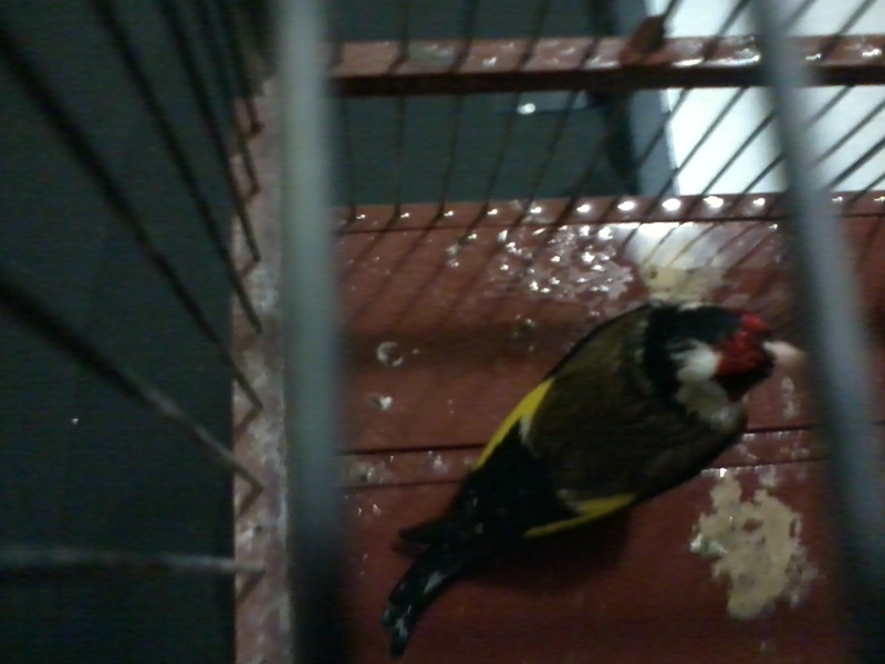 2013-03-04 20.24.35.jpg