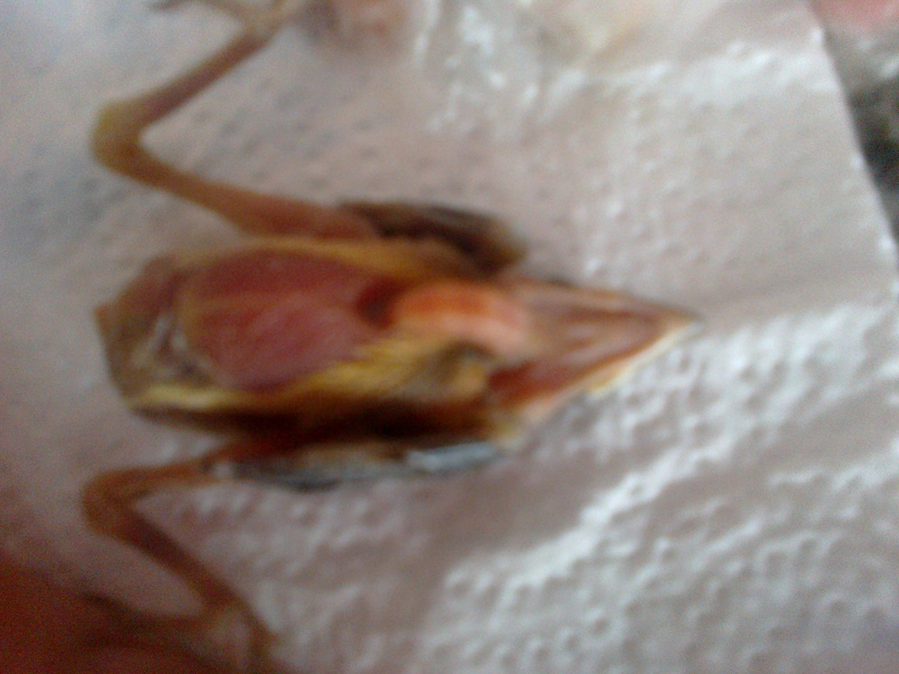 05032013377.jpg