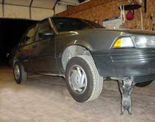 gato coche.bmp