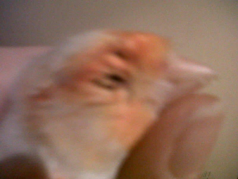 IMG-20130306-01279.jpg