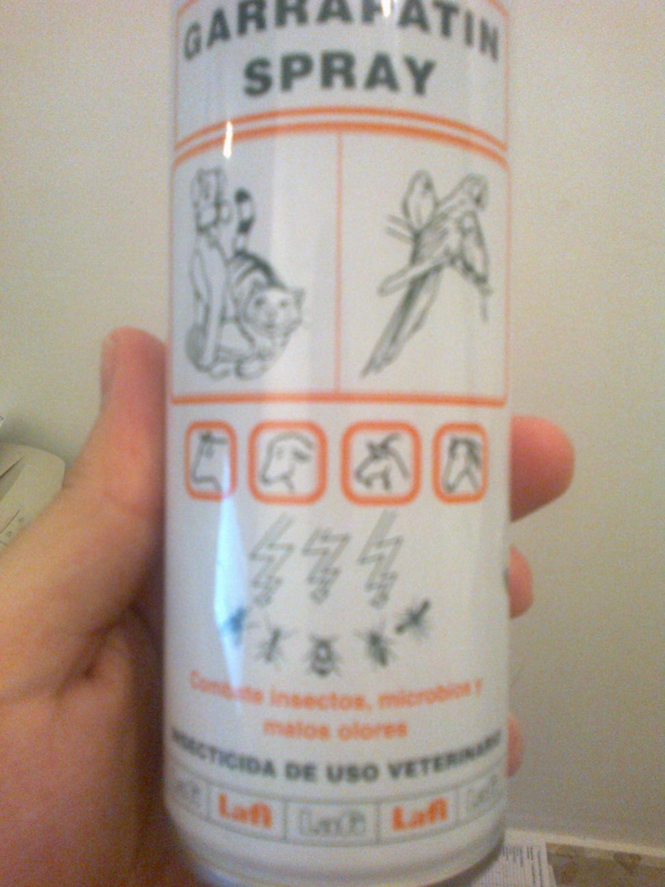 07032013379.jpg