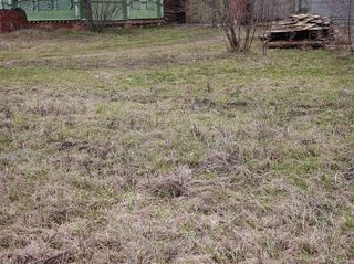 find_cat_640_12.jpg