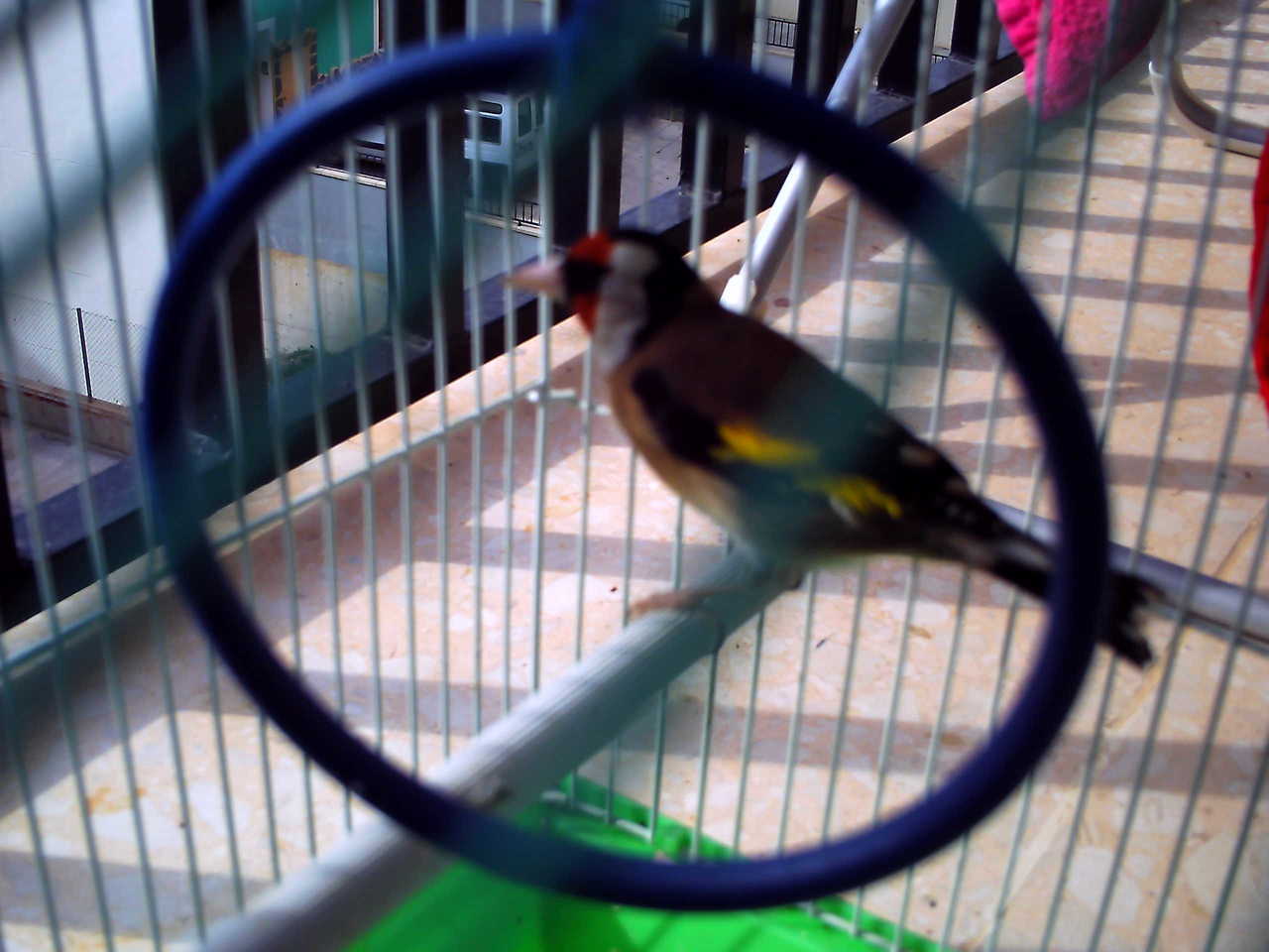 PICT0381.JPG