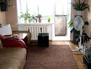find_cat_640_18.jpg
