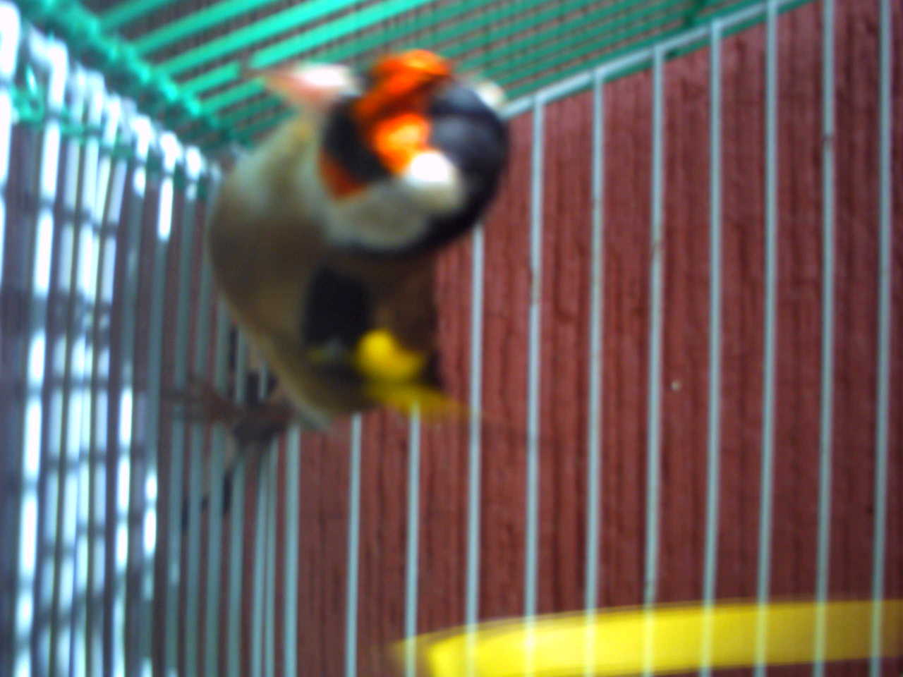 PICT0053.JPG