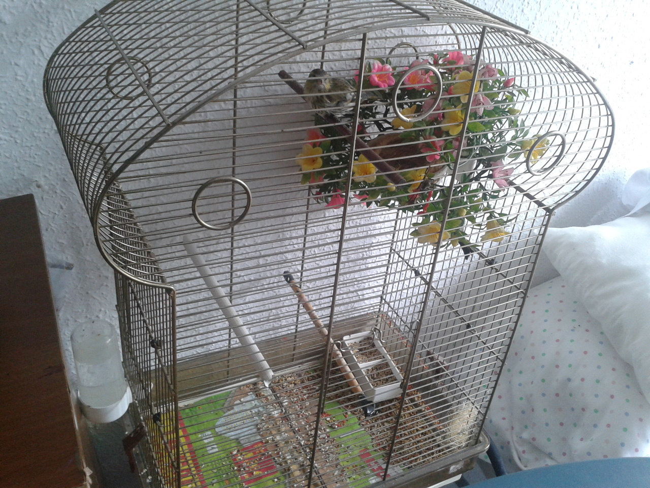 2013-03-09 14.24.54.jpg