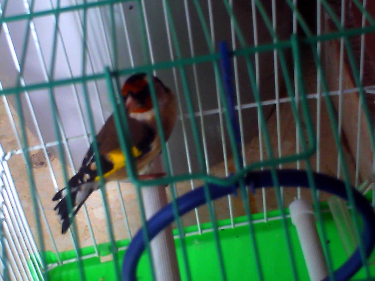 PICT0042.JPG