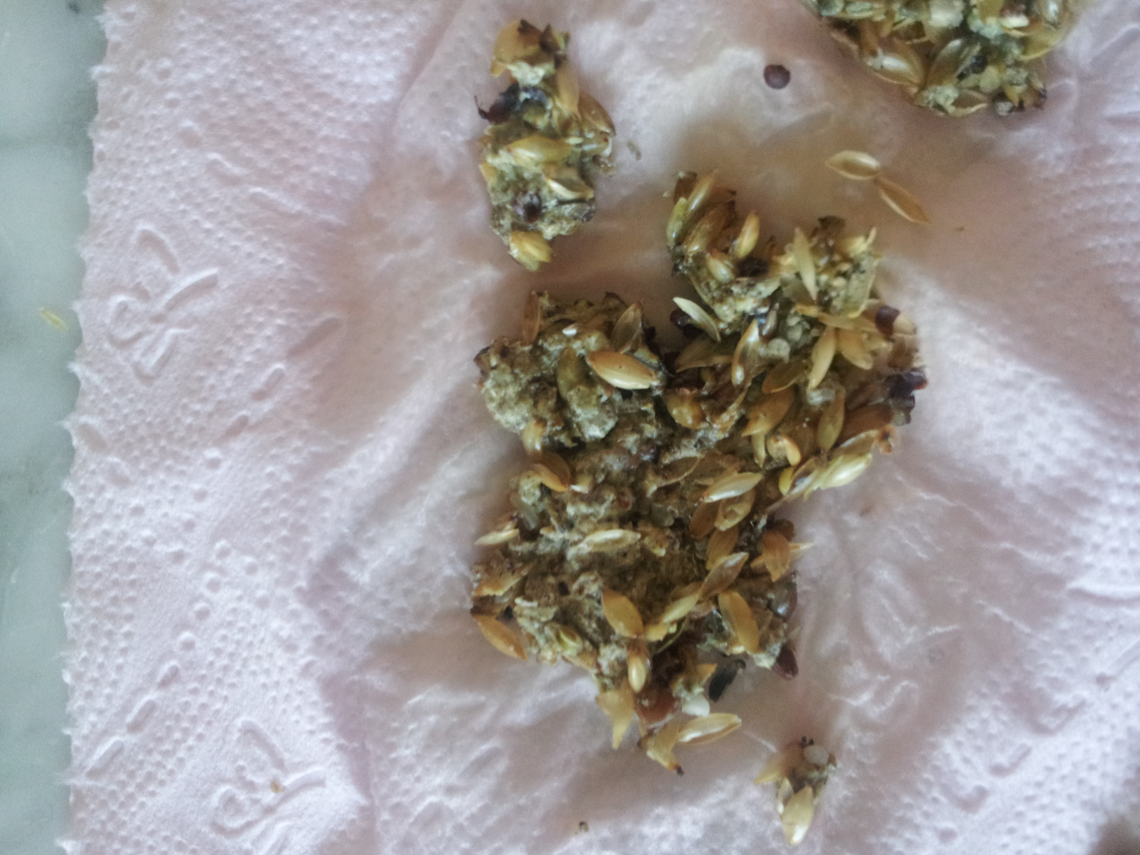 20130309_164301.jpg