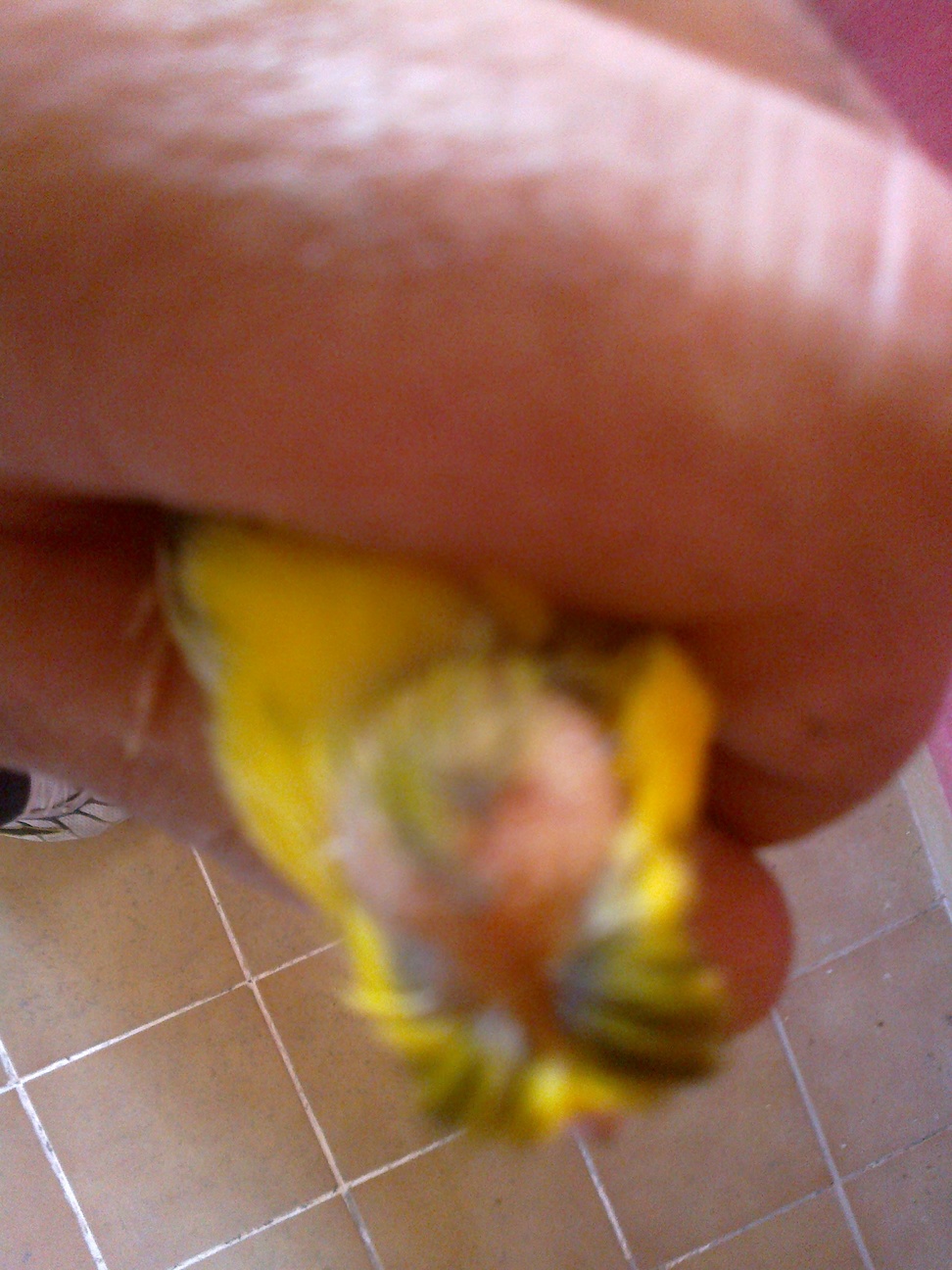 Imagen 034.jpg