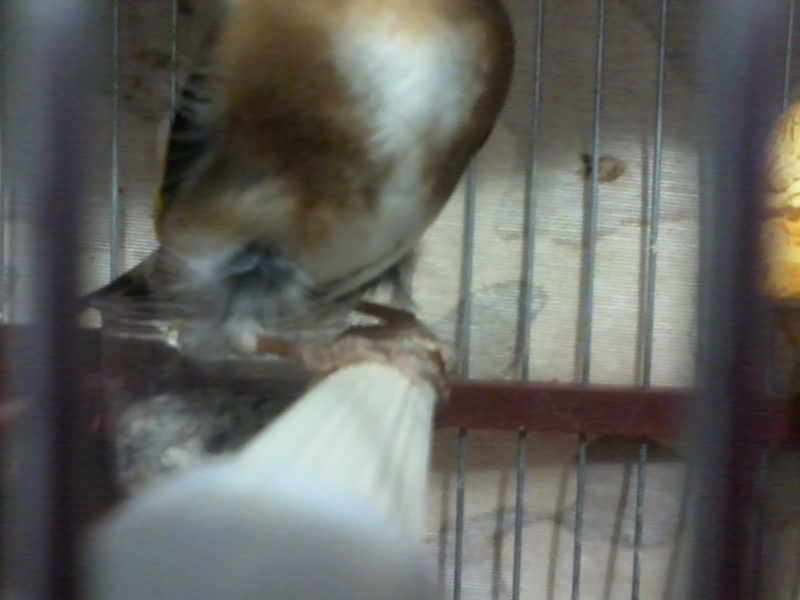 2013-03-12 11.53.12.jpg