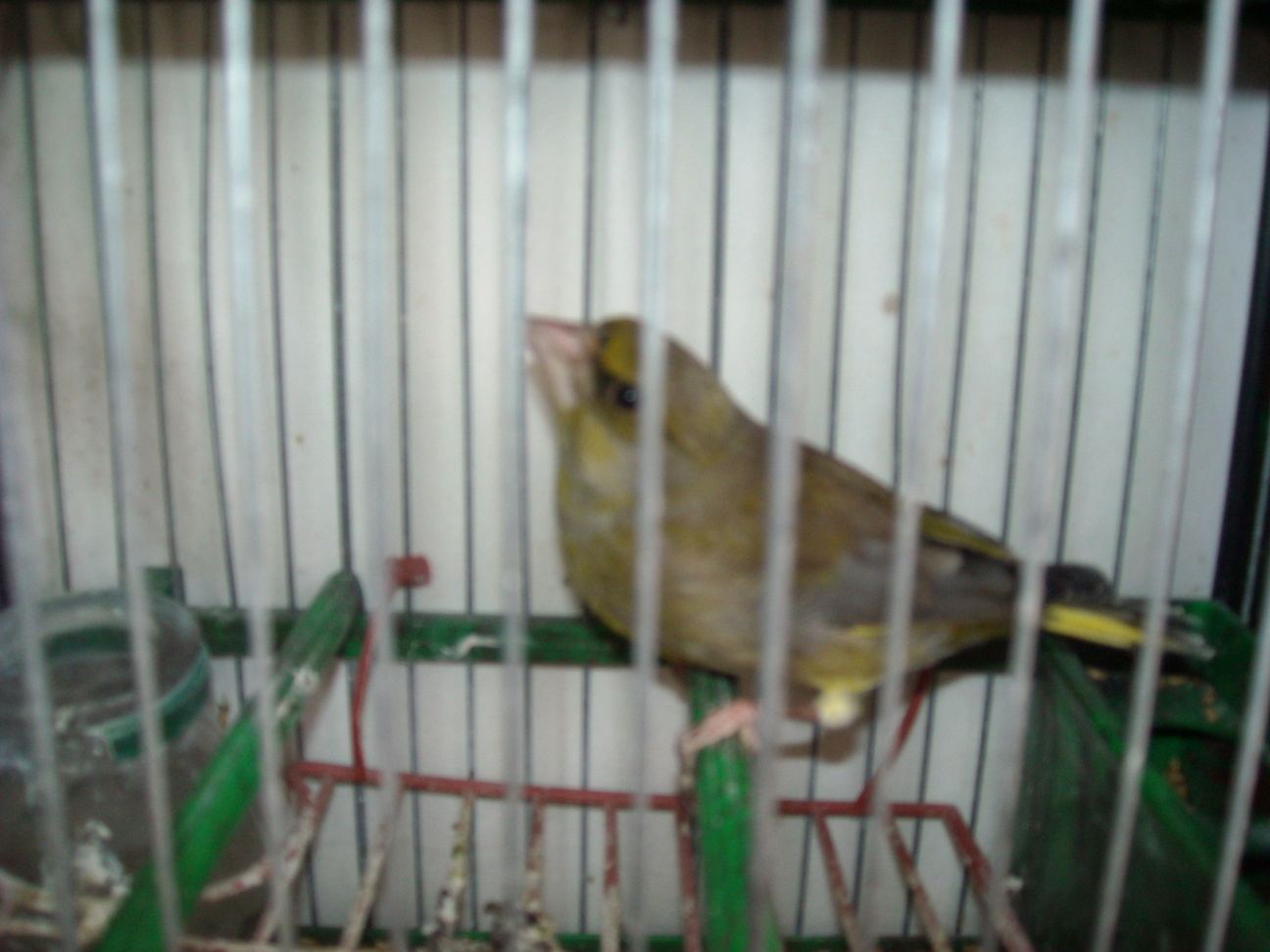 DSCN1248.JPG
