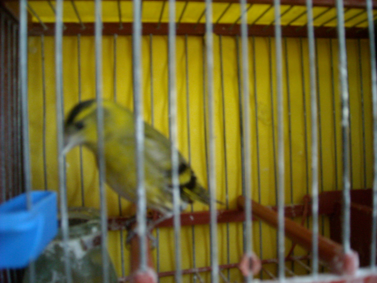 DSCN1249.JPG
