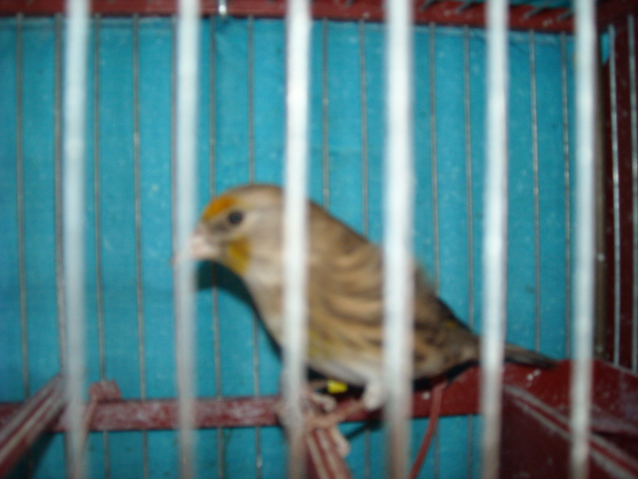 DSCN1253.JPG