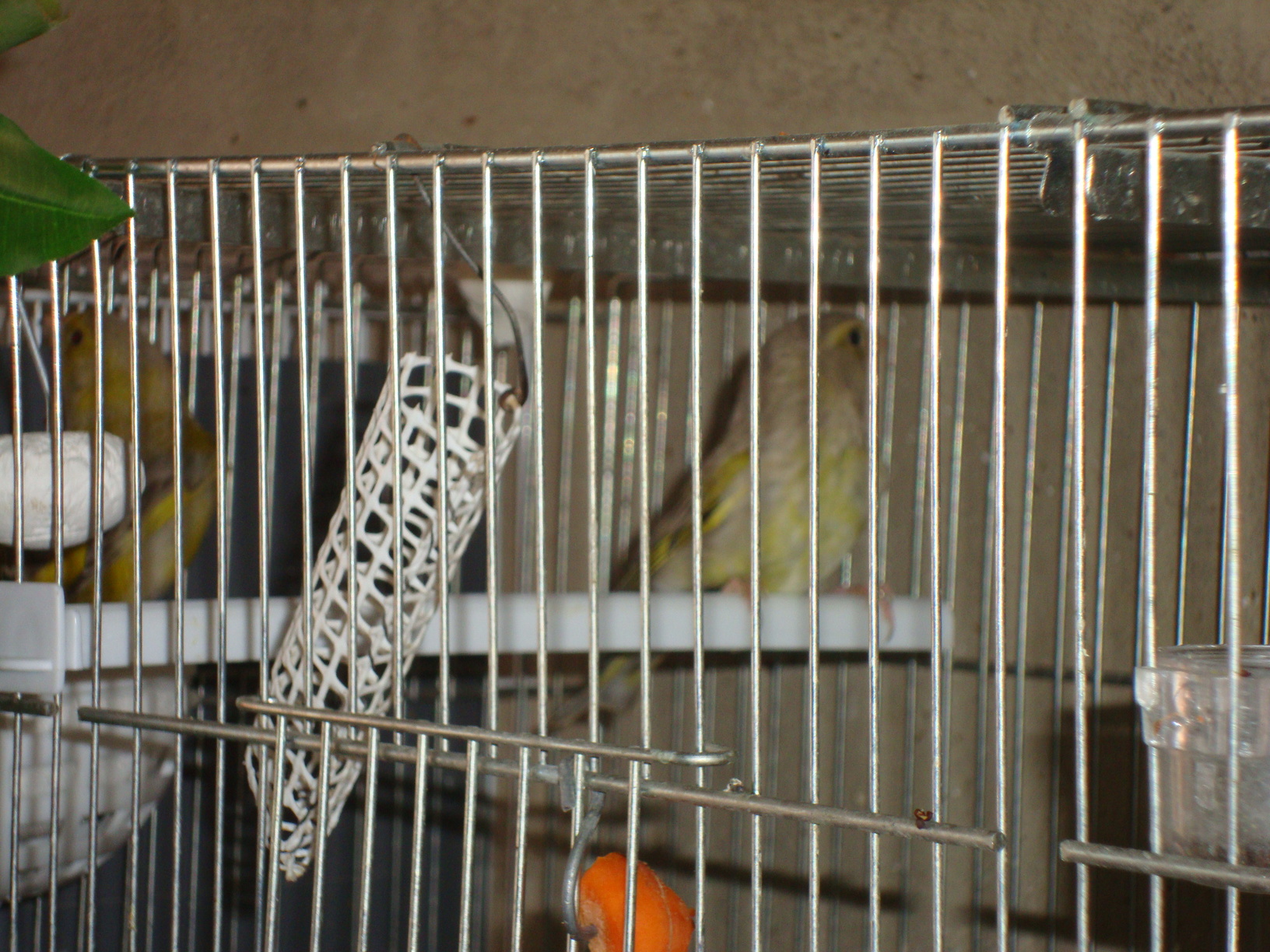 DSC01695.JPG
