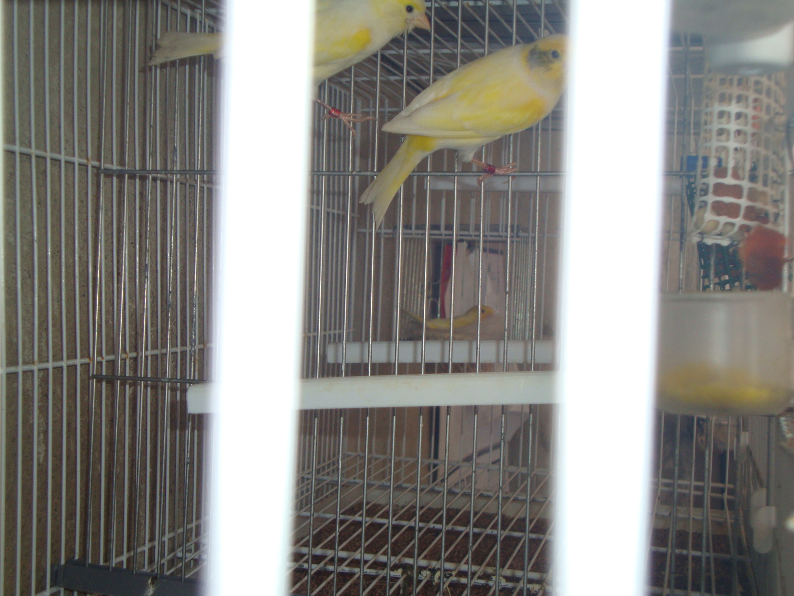 DSC01704.JPG