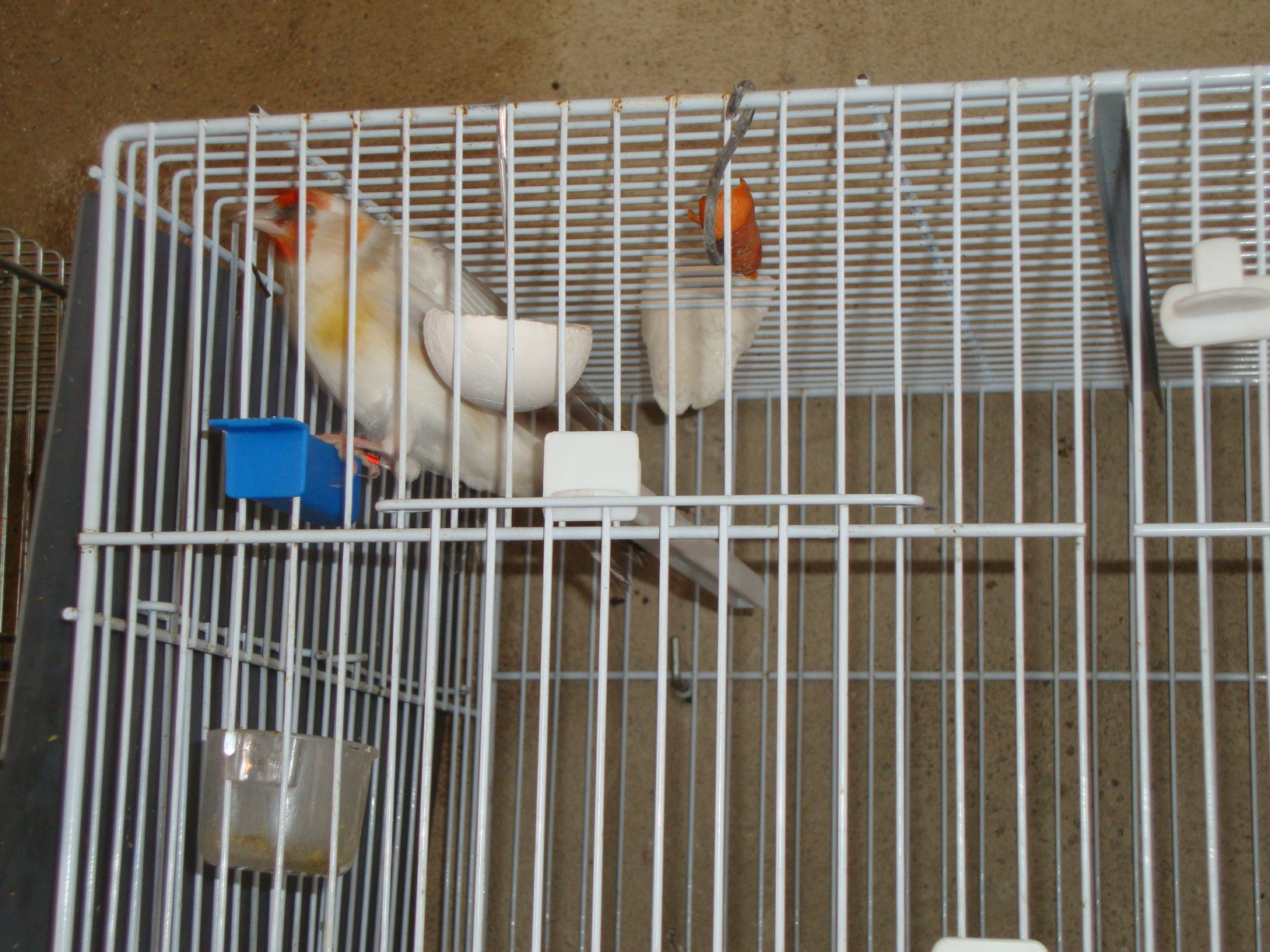 DSC01716.JPG