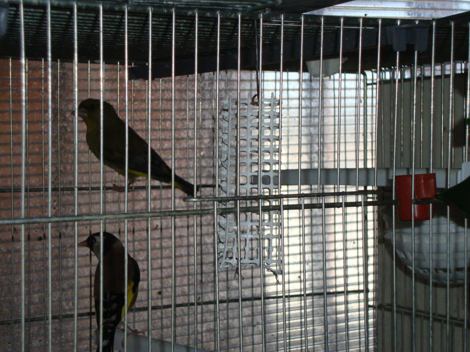 DSC01723.JPG