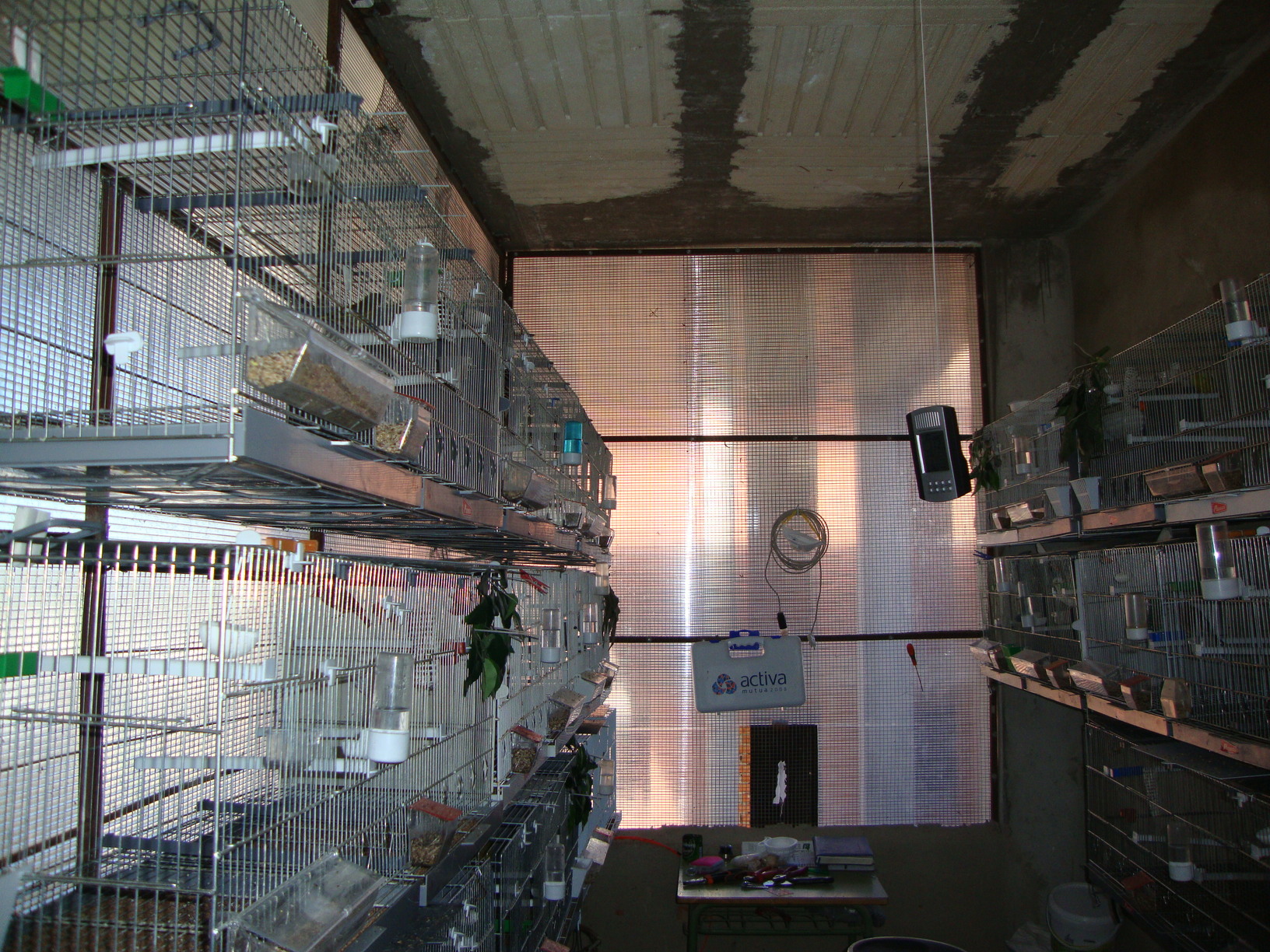 DSC01722.JPG