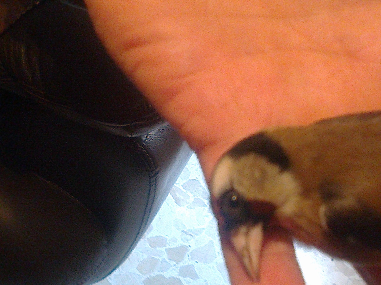 19032013385.jpg
