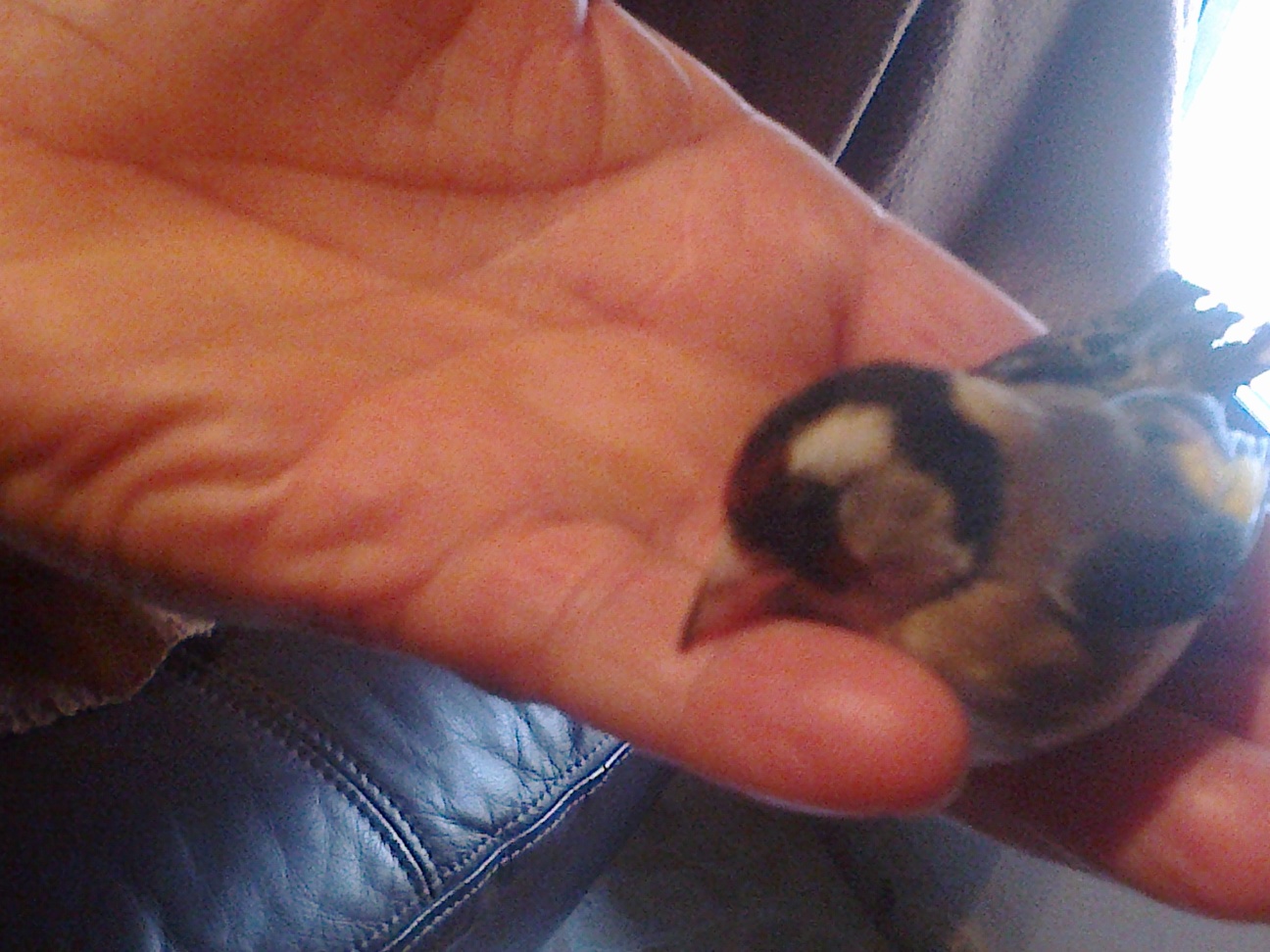 19032013387.jpg
