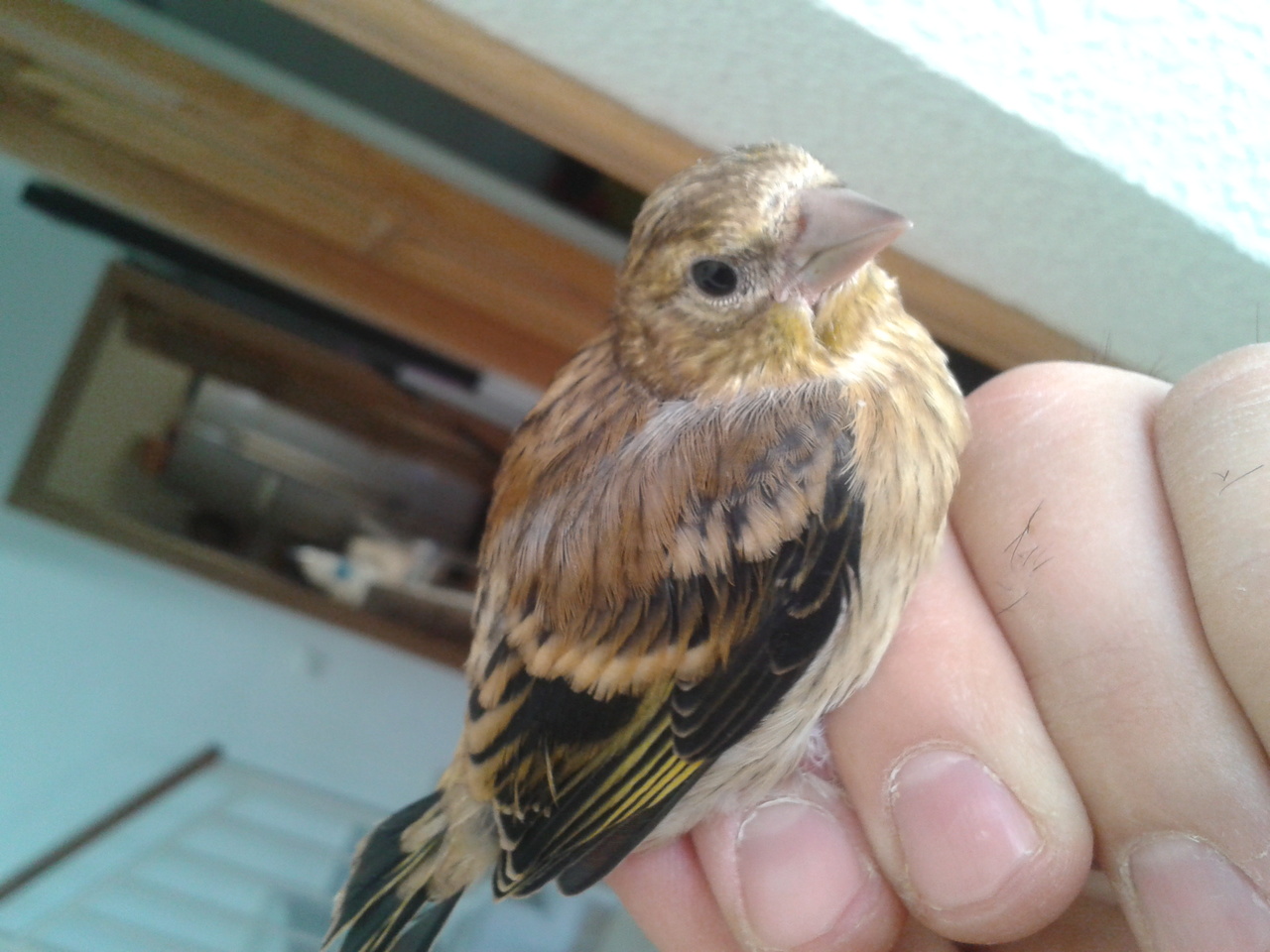 2013-03-20 12.36.27.jpg