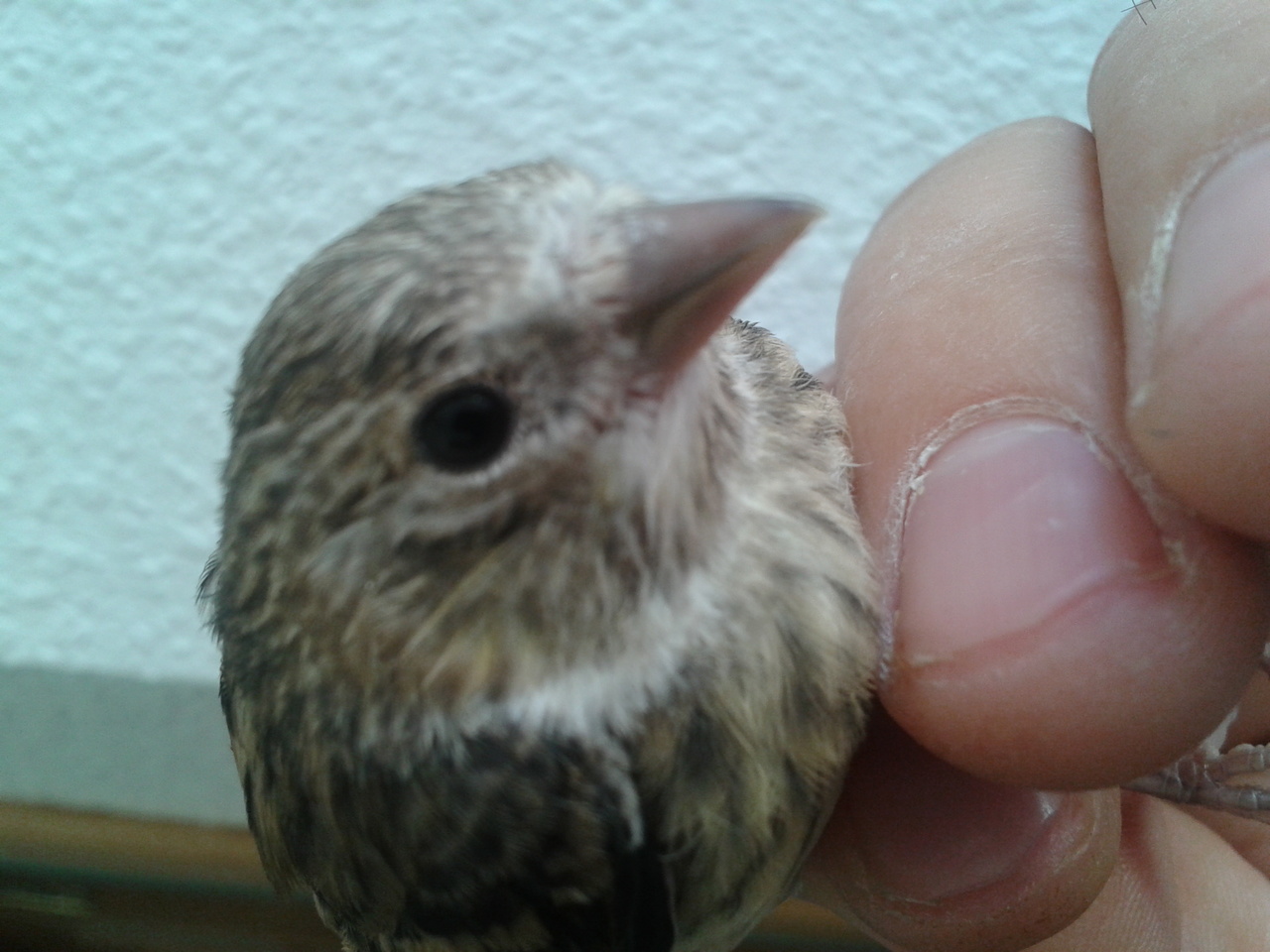 2013-03-20 12.38.27.jpg