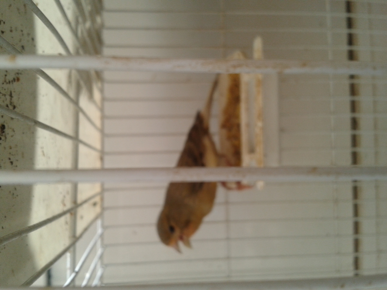 2013-03-20 12.39.03.jpg