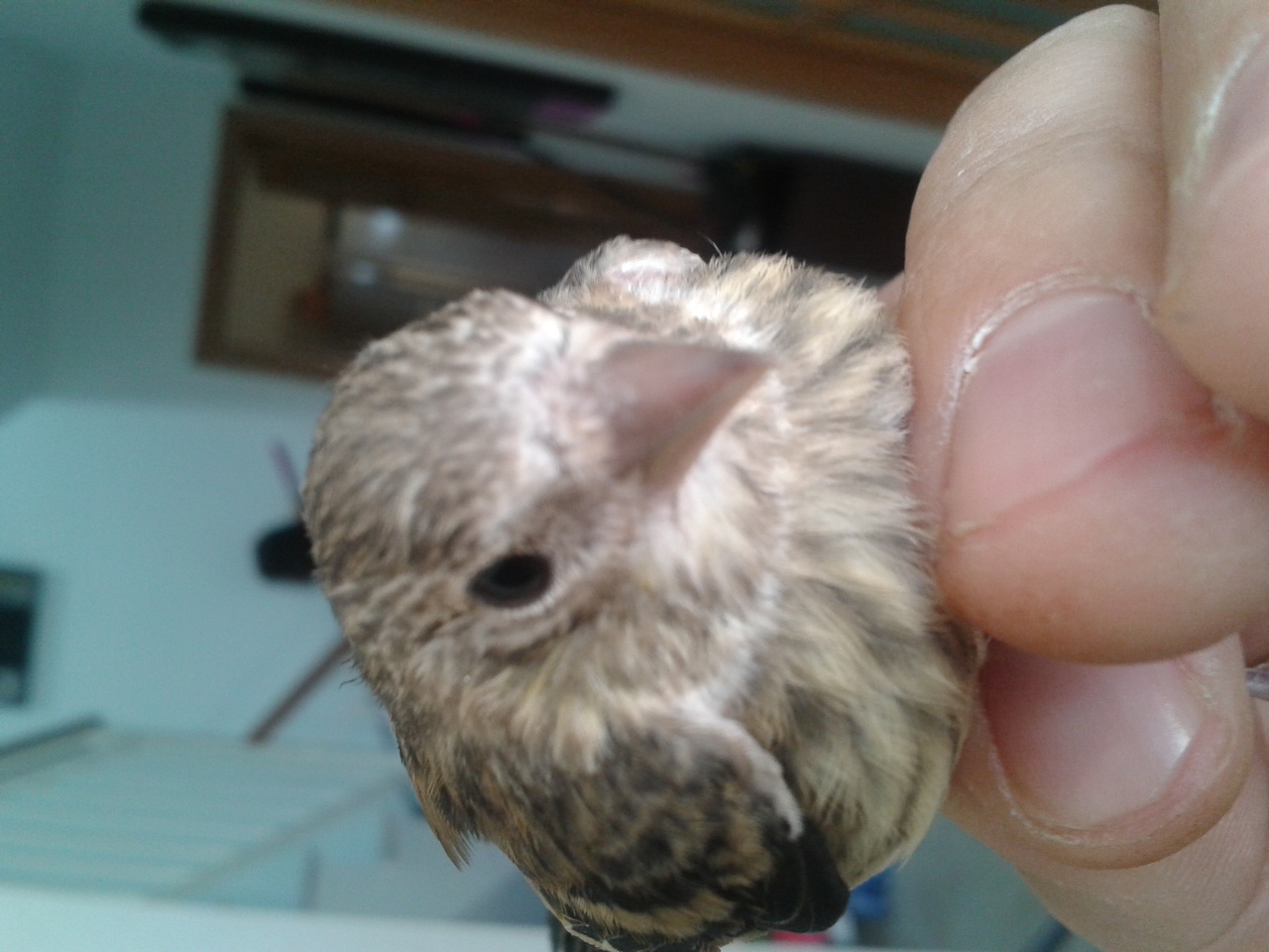 2013-03-20 12.38.39.jpg