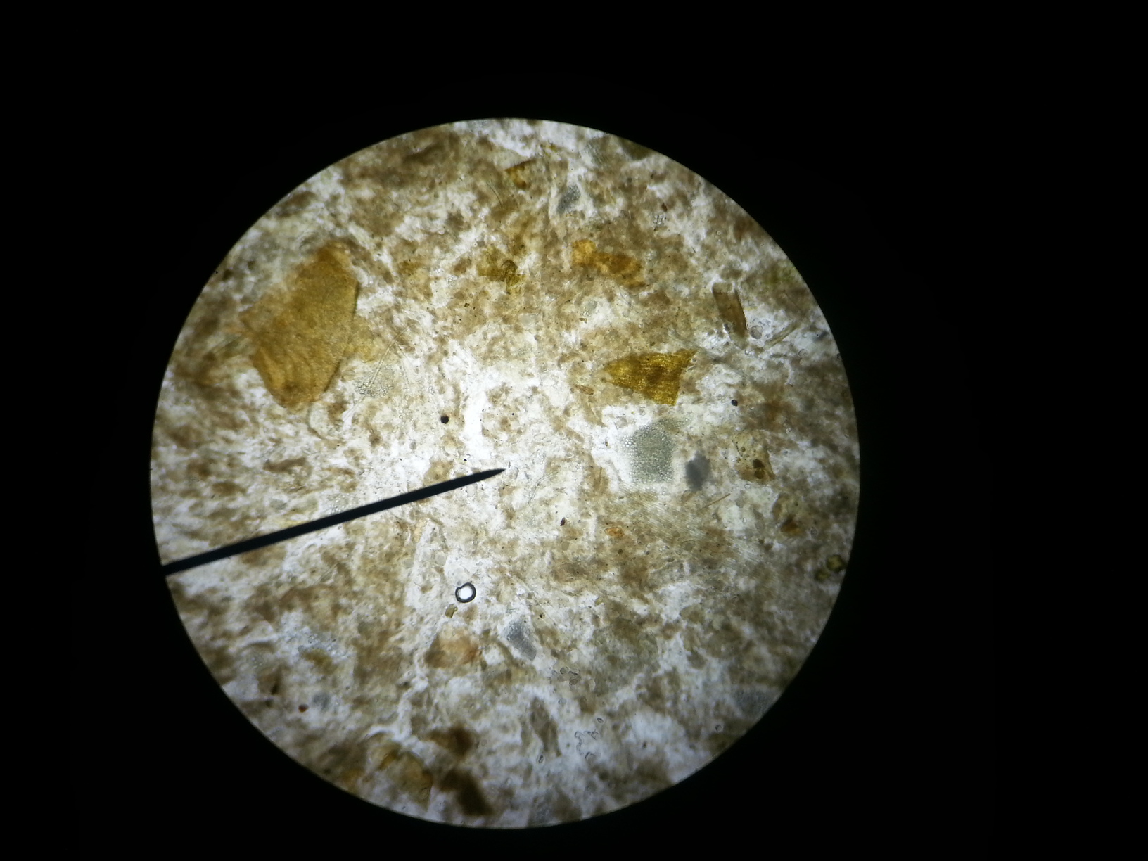 20130324_193104.jpg