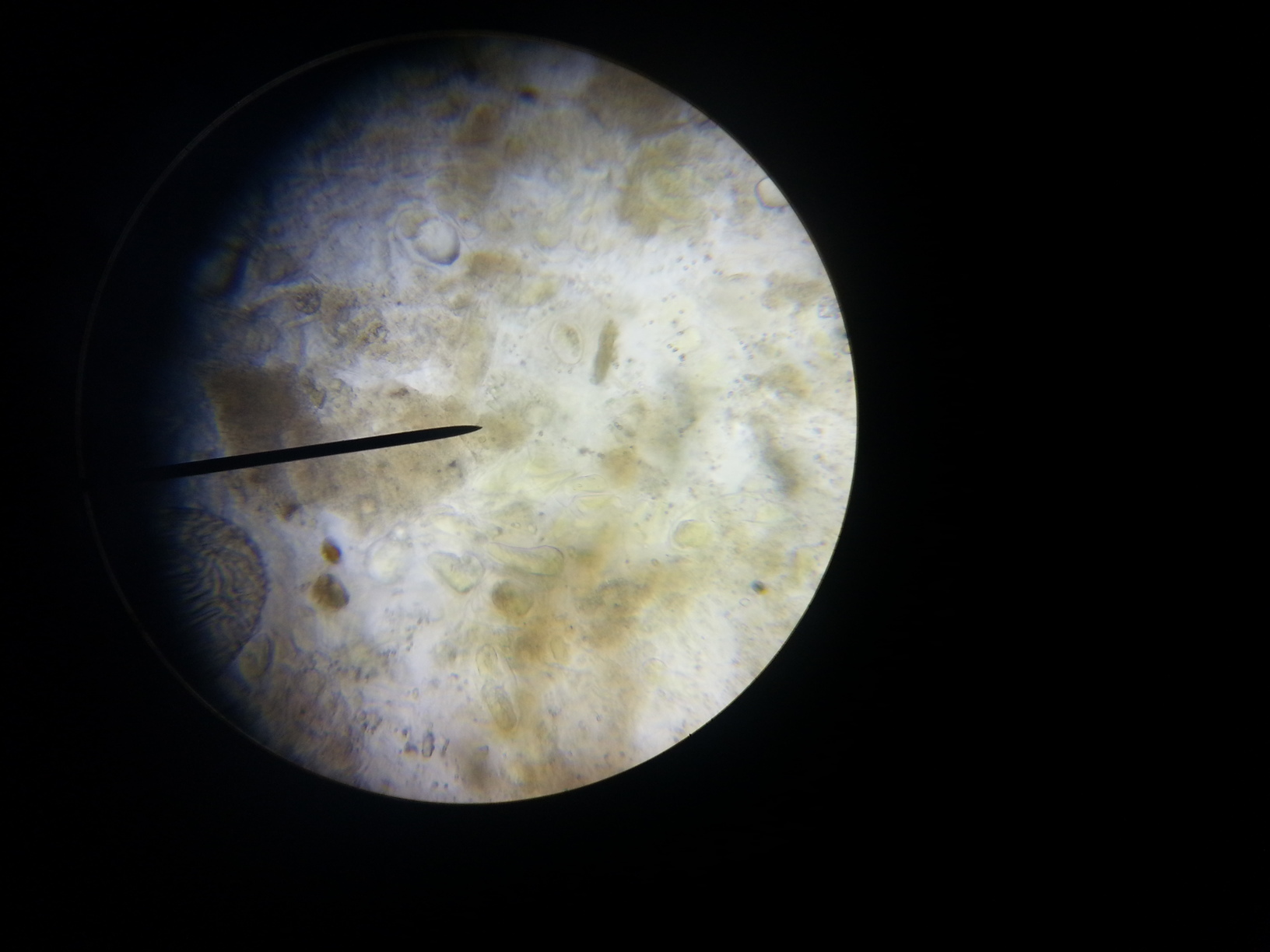 20130324_193332.jpg