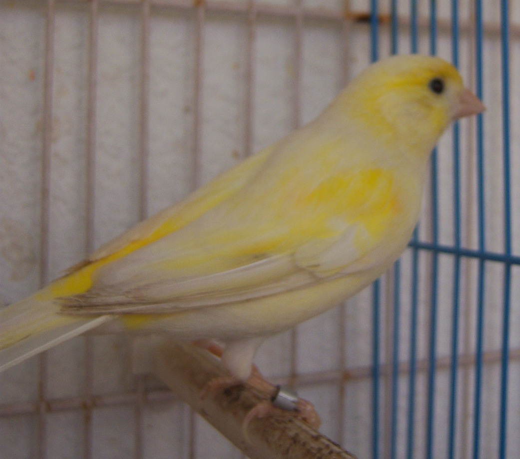 mis jieneses 012.JPG