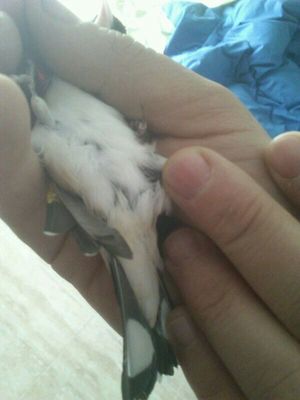 IMG-20130327-WA0011.jpg
