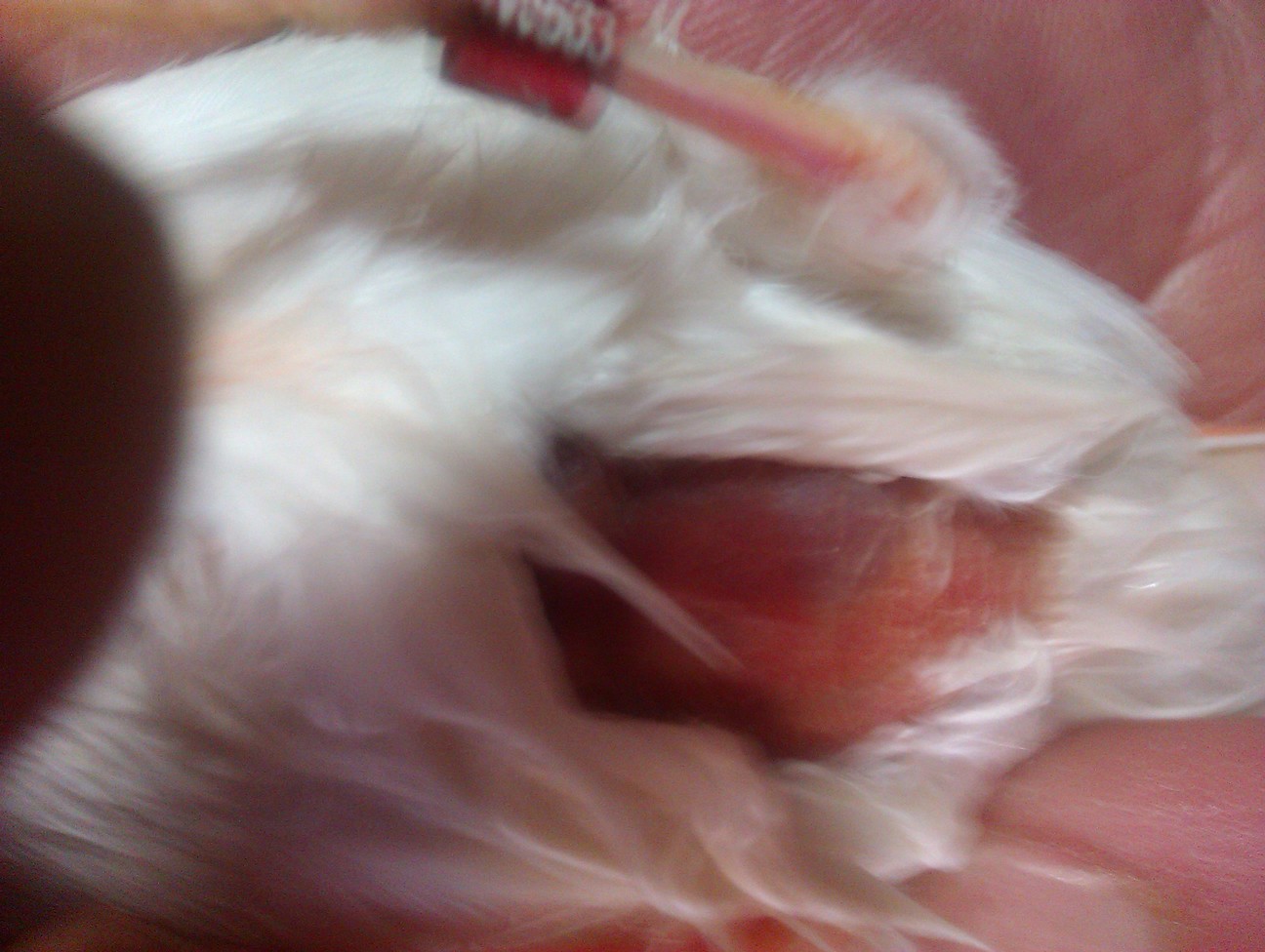 IMAG0498.jpg