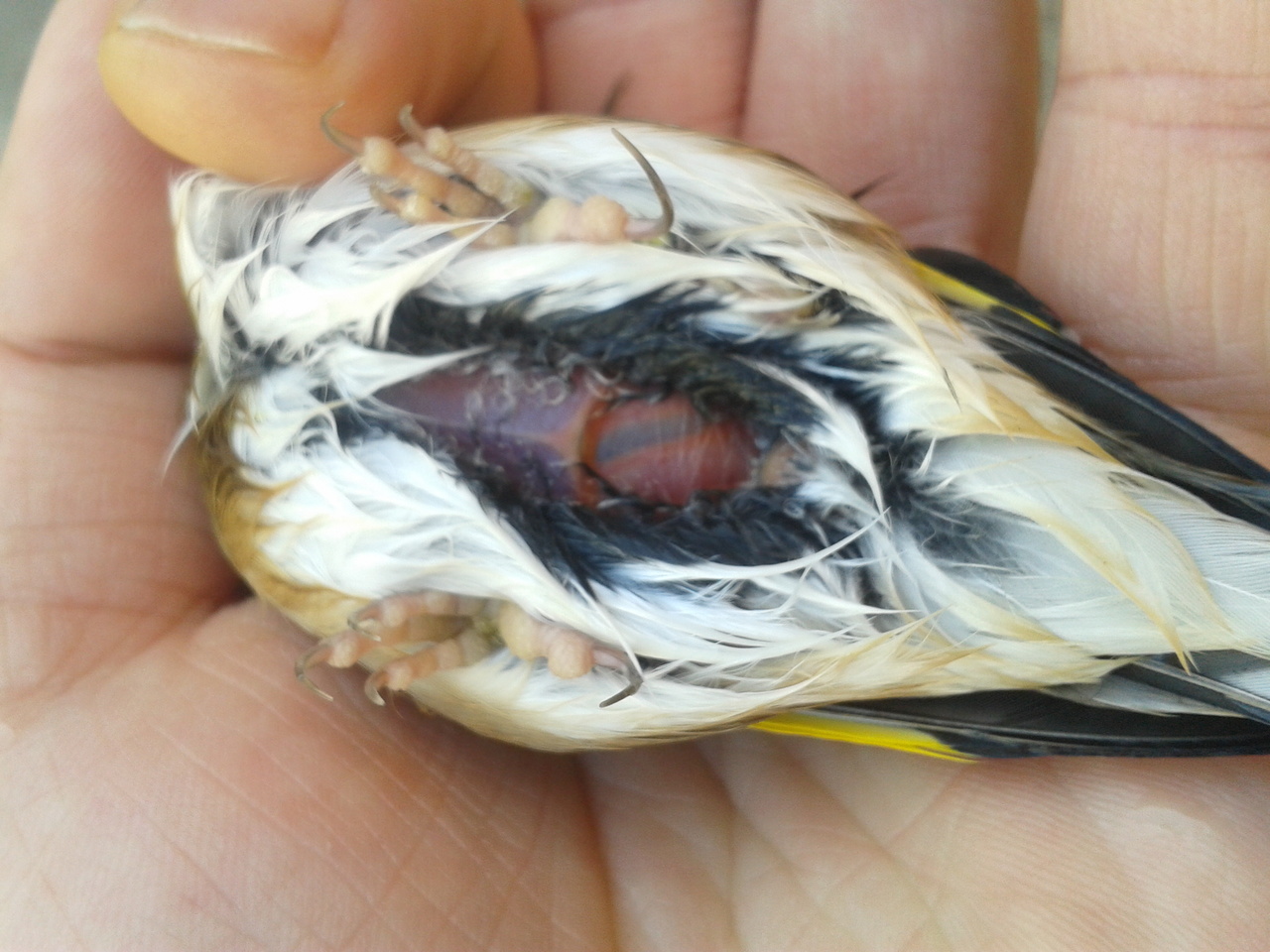 2013-03-30 16.29.30.jpg