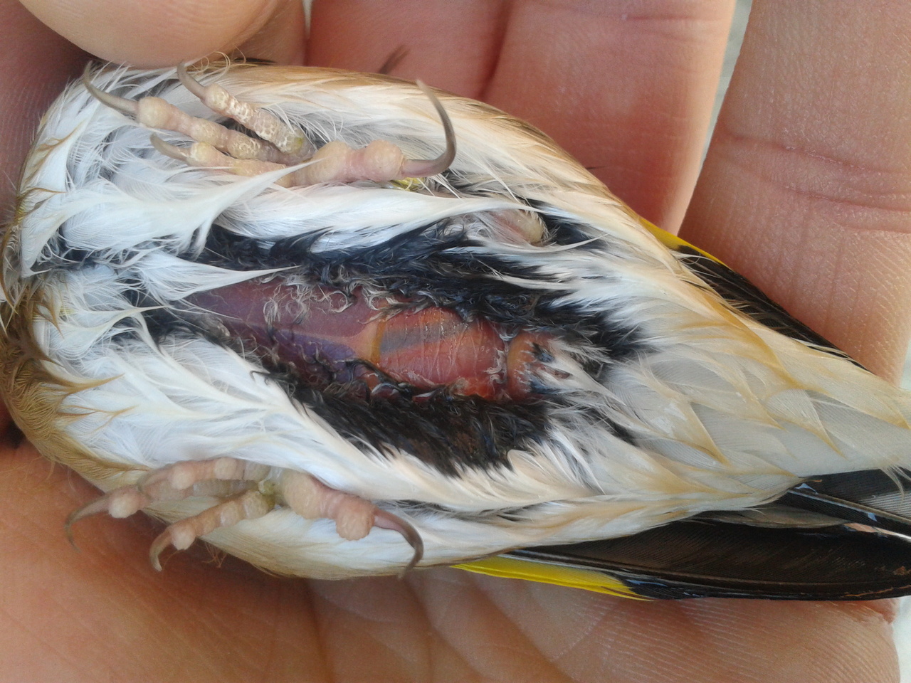 2013-03-30 16.28.20.jpg